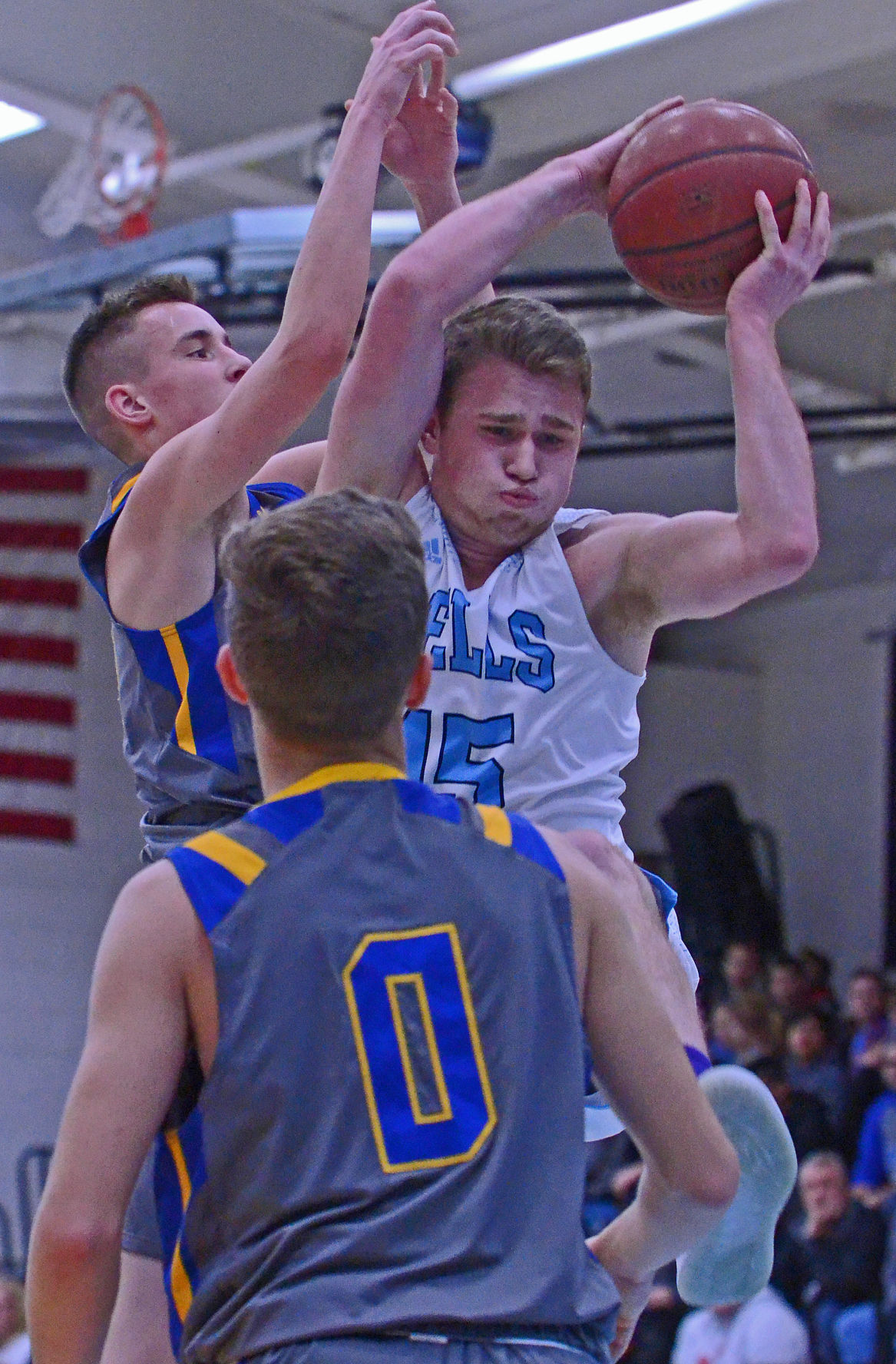 Dylan Anchor rebound